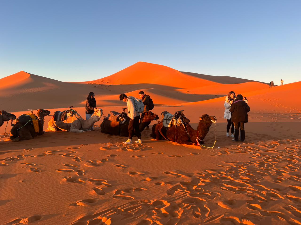 Dune al tramonto