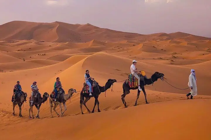 Deserto di Merzouga: carovana di cammelli tra le dune di Erg Chebbi