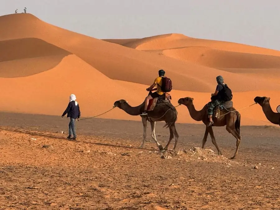 Cammello alba a Merzouga – La carovana sulle dune