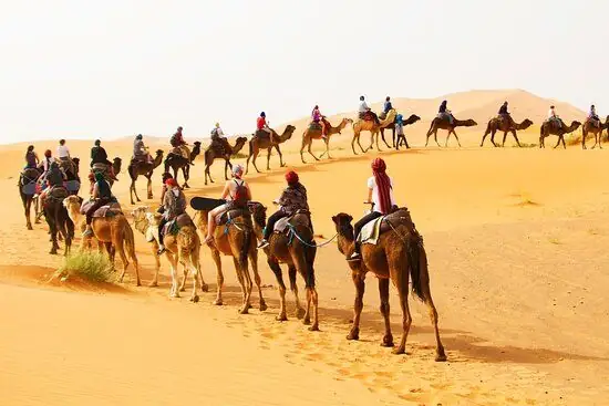 Carovana di cammelli nelle dune di Merzouga