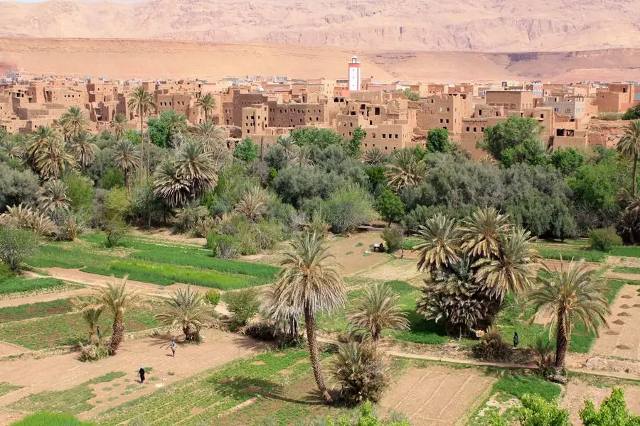 Tour Agadir 5 giorni – Palmeti del sud