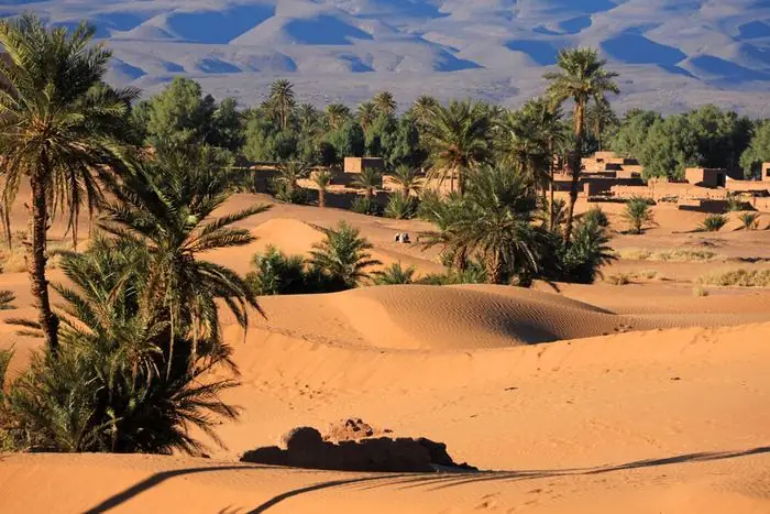 2 giorni da Marrakech a Zagora