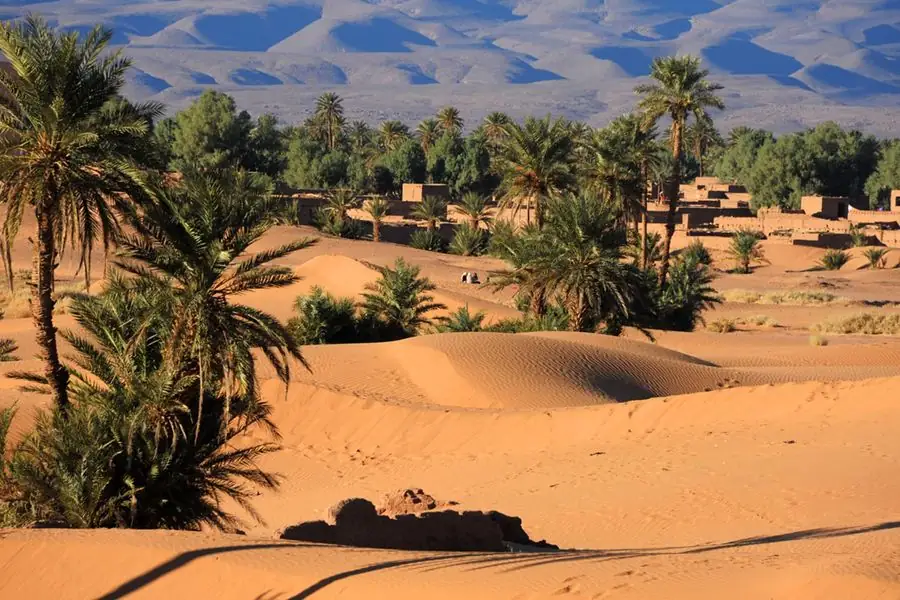 Tour Agadir Marrakech 4 giorni – Dune e palmeti di Zagora