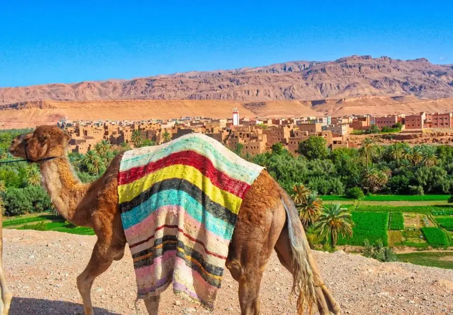 Kasbah da visitare in marocco – oasi e kasbah nella valle del Dades
